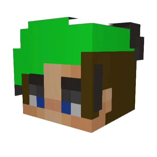 stinkbug19 Minecraft avatar head, 3D render