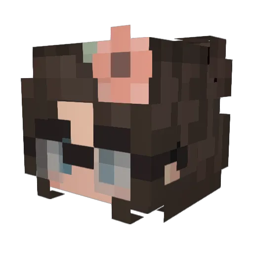 stinkburg Minecraft avatar head, 3D render
