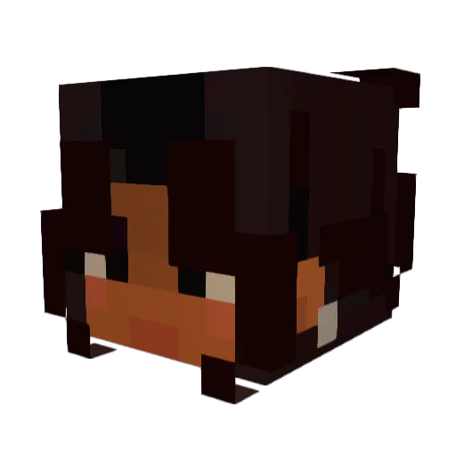 stinkerbells Minecraft avatar head, 3D render