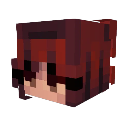 Minecraft-Avatar von stinkfly667: Kopf als 3D-Render