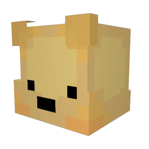 stinkstankstonk Minecraft avatar head, 3D render