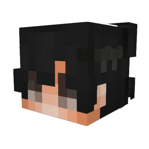 stinky___33 Minecraft avatar head, 3D render