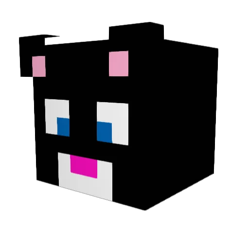 stinkycat123 Minecraft avatar head, 3D render