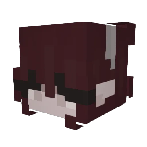 stinkycrayon Minecraft avatar head, 3D render
