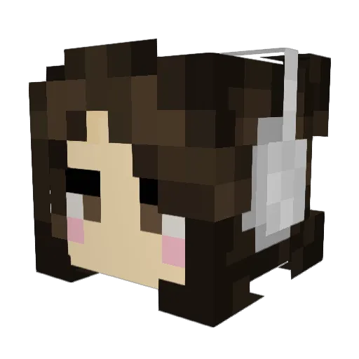 stinkyfartlover Minecraft avatar head, 3D render