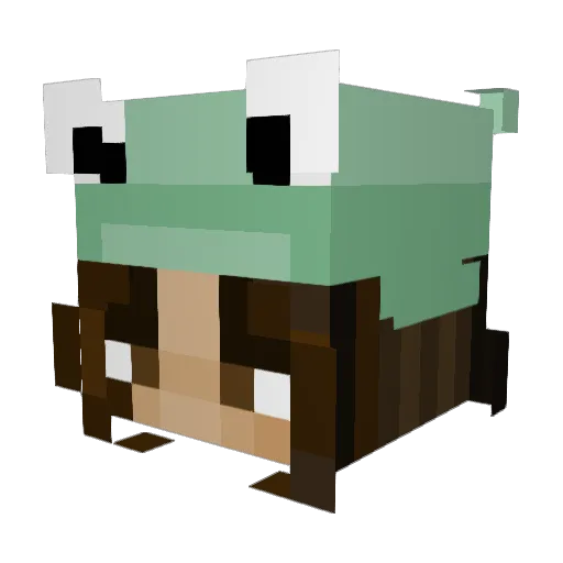 stinkyfink Minecraft avatar head, 3D render