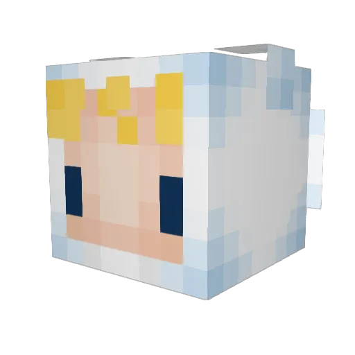 stinkyjacob Minecraft avatar head, 3D render
