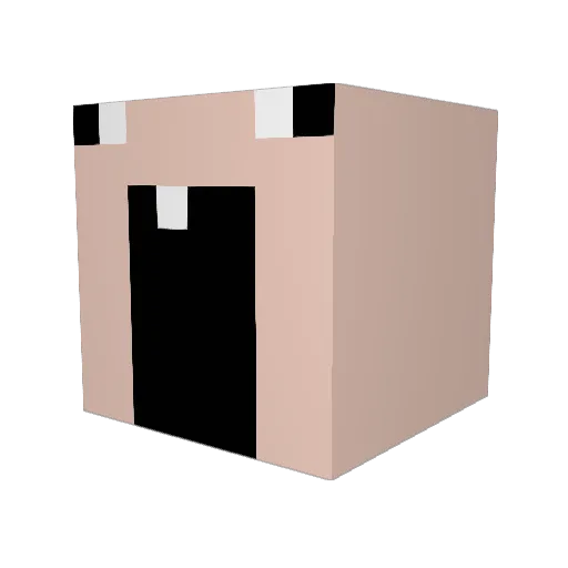 stinkymanshane Minecraft avatar head, 3D render