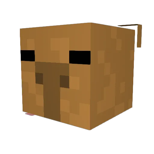 stinkyratman69 Minecraft avatar head, 3D render