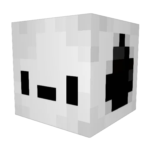 stinkysnoopy42 Minecraft avatar head, 3D render