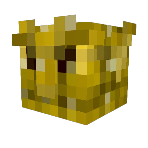 stinkystanley Minecraft avatar head, 3D render