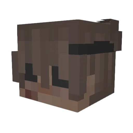 stinkystinker07 Minecraft avatar head, 3D render