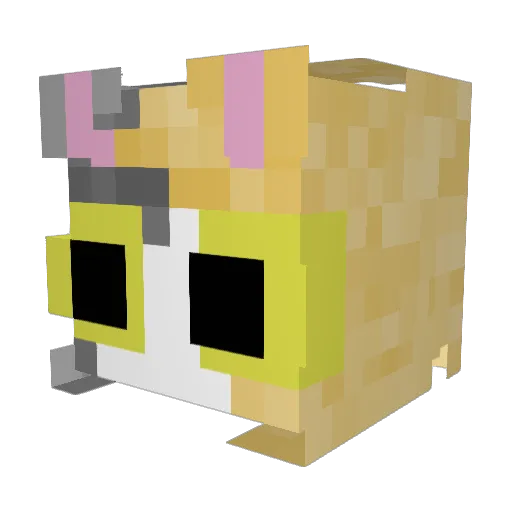 stinkytofu24 Minecraft avatar head, 3D render