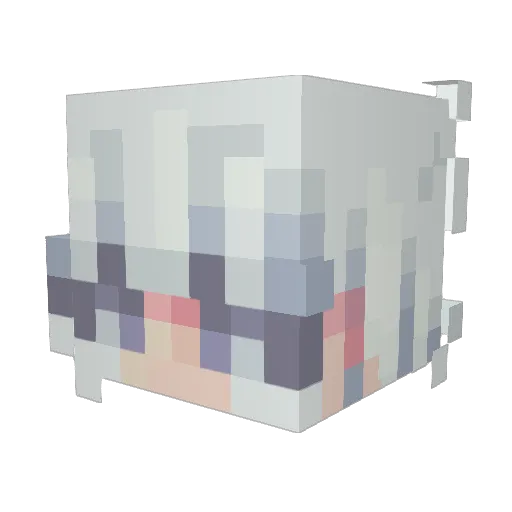 stinkytofu31 Minecraft avatar head, 3D render