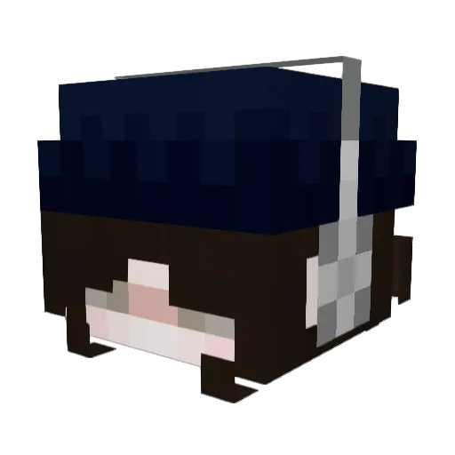 stinkywomans Minecraft avatar head, 3D render