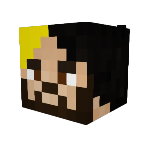 stinqle Minecraft avatar head, 3D render