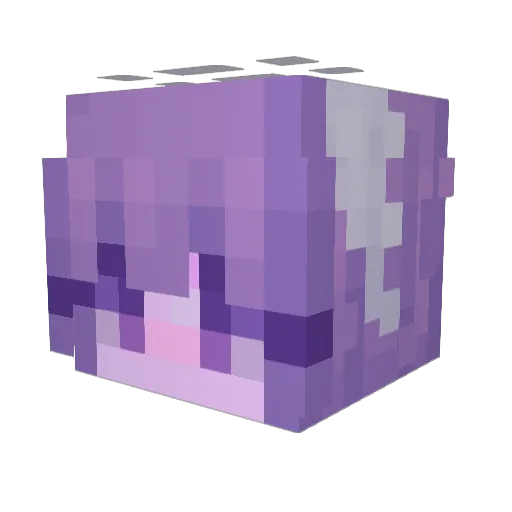 stirnersforehead Minecraft avatar head, 3D render