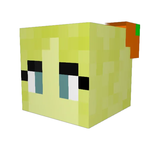 stitchgrl120 Minecraft avatar head, 3D render