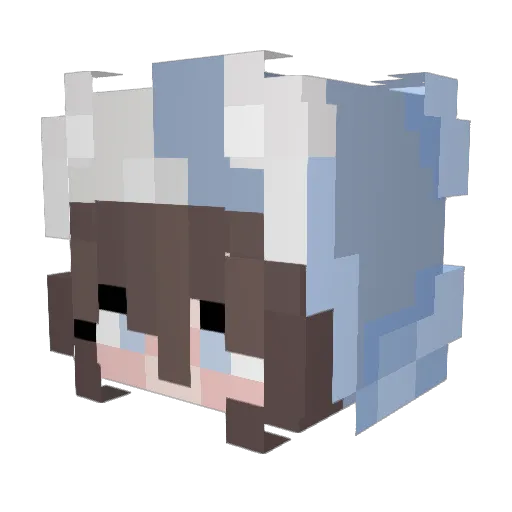 stjernejeger Minecraft avatar head, 3D render