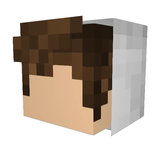 stlik Minecraft avatar head, 3D render