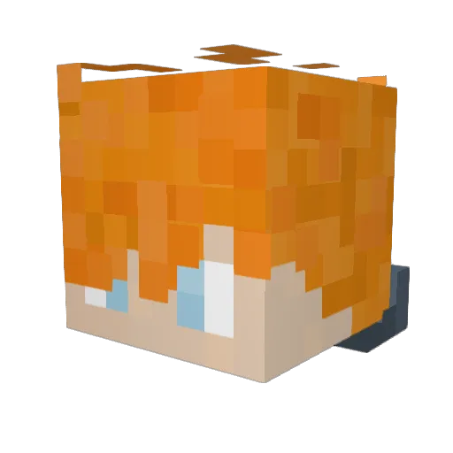 stock__REID Minecraft avatar head, 3D render