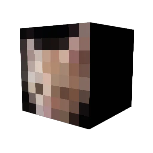 stockente1 Minecraft avatar head, 3D render