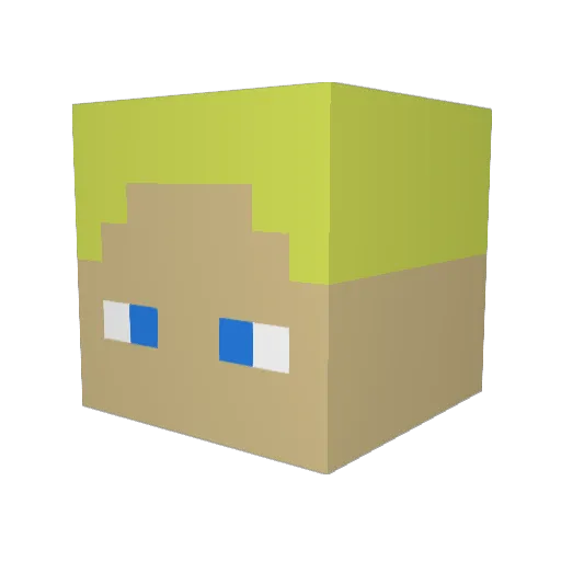 stocki1 Minecraft avatar head, 3D render