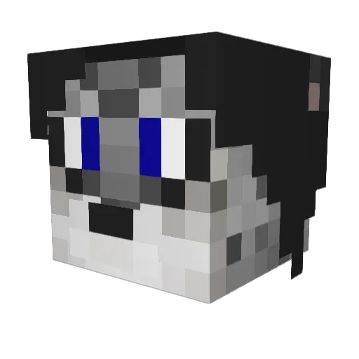 stockman54 Minecraft avatar head, 3D render