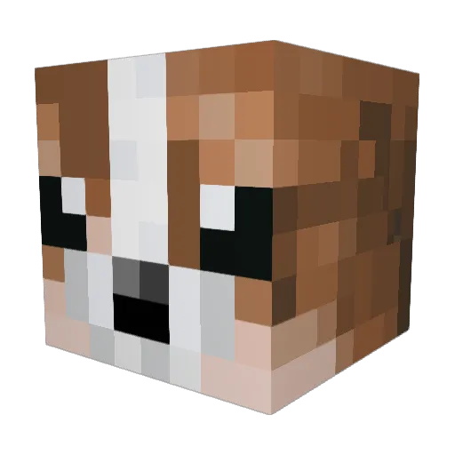 stoegifish Minecraft avatar head, 3D render
