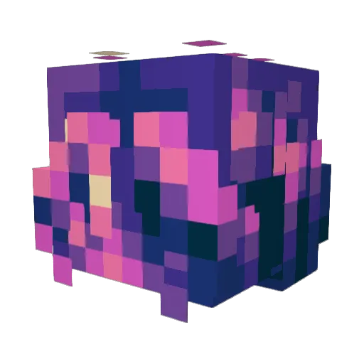 stofzuigerzak123 Minecraft avatar head, 3D render