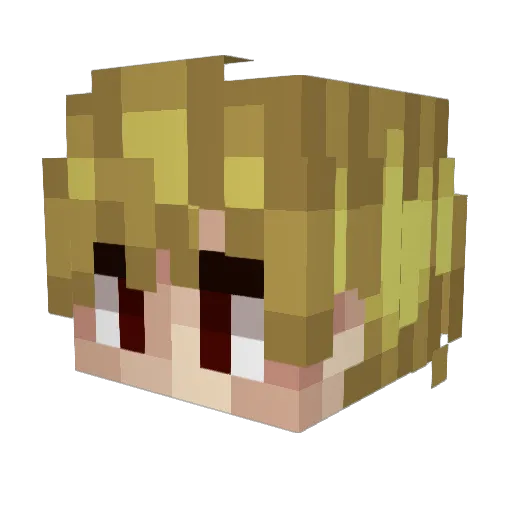 stolarz1008 Minecraft avatar head, 3D render