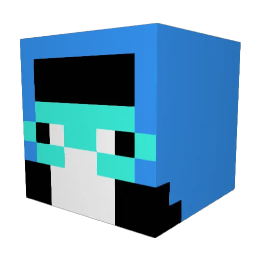 stole_ur_socks Minecraft avatar head, 3D render