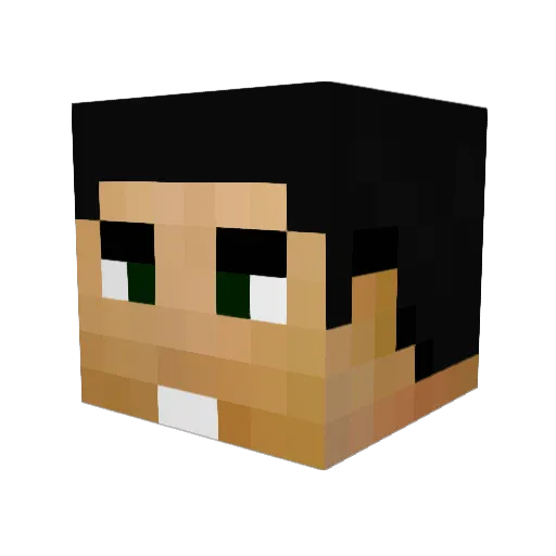 stoler202 Minecraft avatar head, 3D render