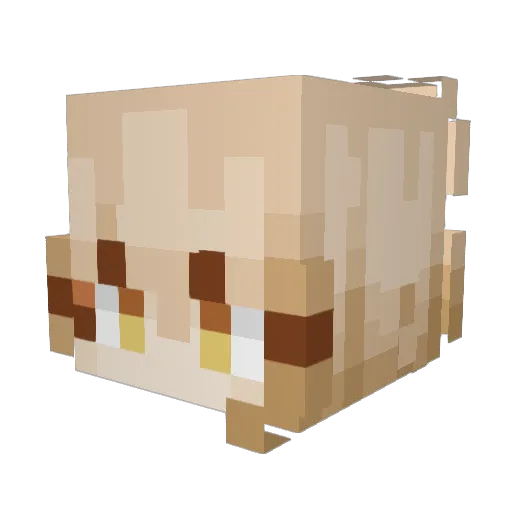 stomth Minecraft avatar head, 3D render