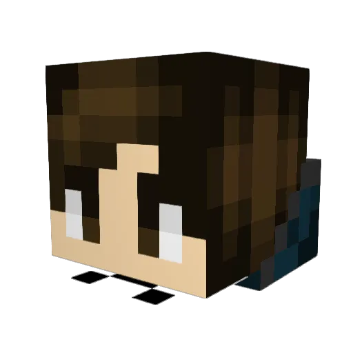 stoneGryphon5554 Minecraft avatar head, 3D render