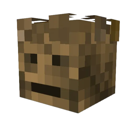 stonecharley Minecraft avatar head, 3D render
