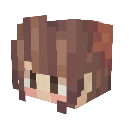 stonefree601 Minecraft avatar head, 3D render