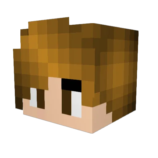 stonelands Minecraft avatar head, 3D render