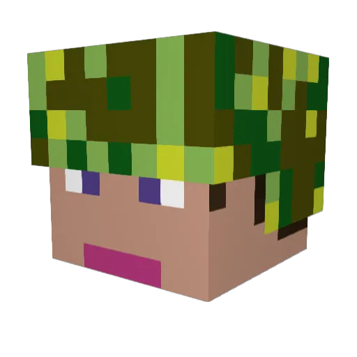 stonepark Minecraft avatar head, 3D render