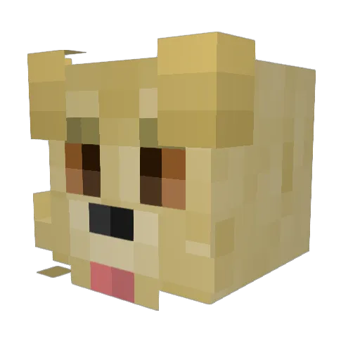stoner12parrot Minecraft avatar head, 3D render