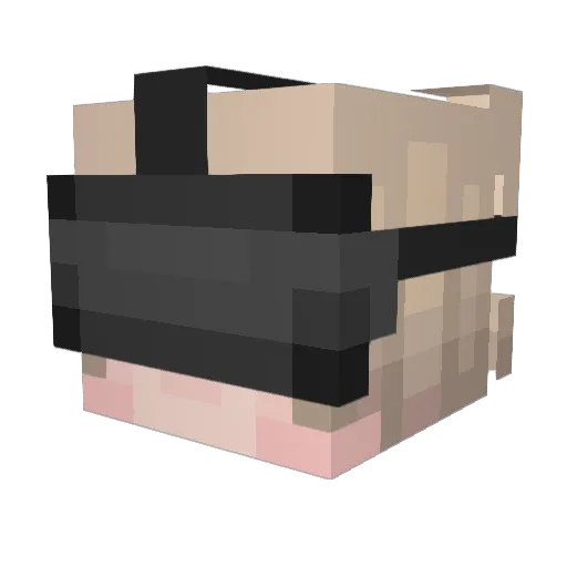 stoner_5 Minecraft avatar head, 3D render