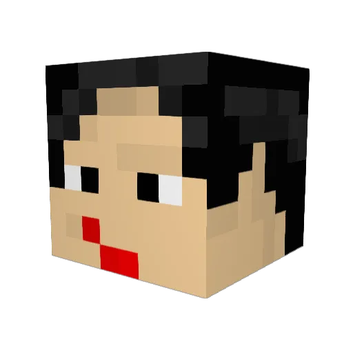 stonewashburn_ Minecraft avatar head, 3D render