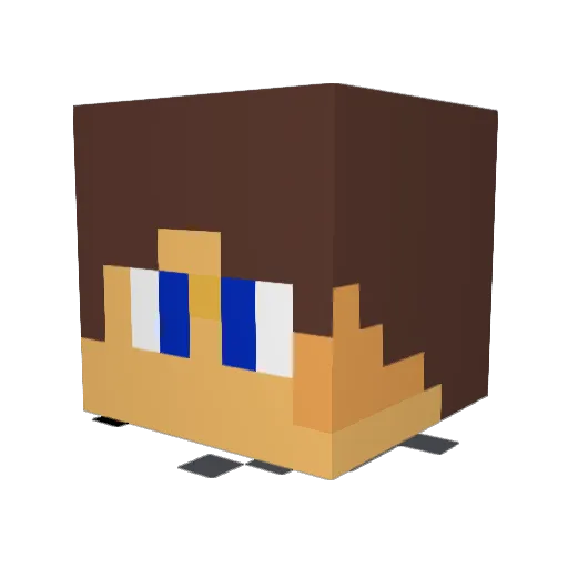 stonie1000 Minecraft avatar head, 3D render