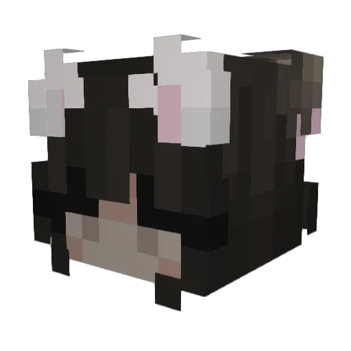 stonkycheese Minecraft avatar head, 3D render