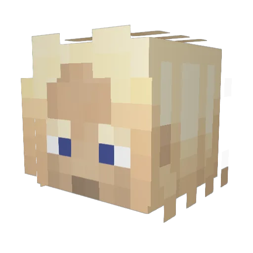 stonyyyt Minecraft avatar head, 3D render