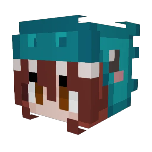 stoobloob Minecraft avatar head, 3D render
