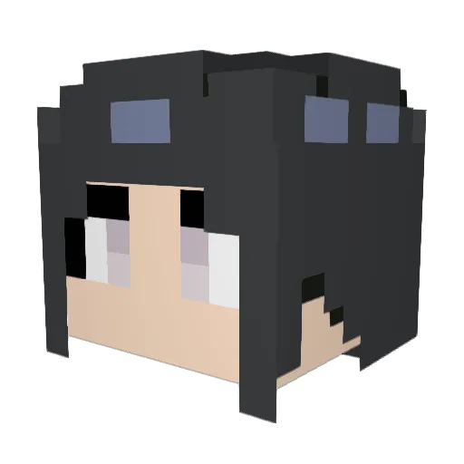 stoompycaty1 Minecraft avatar head, 3D render
