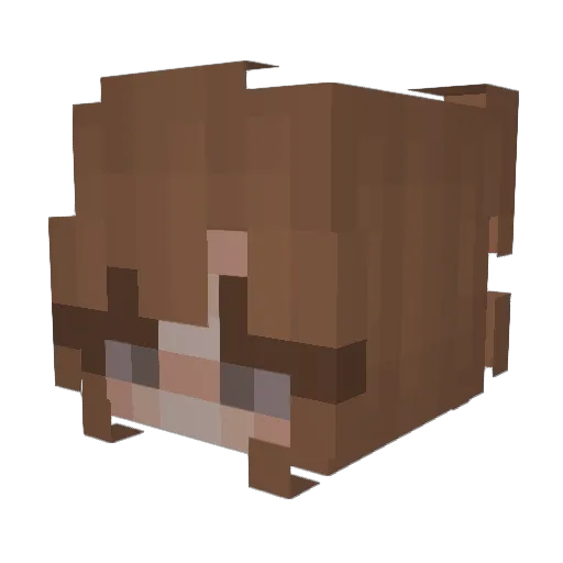 stoopid12 Minecraft avatar head, 3D render