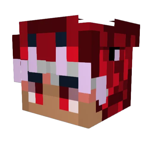 stoopiddd Minecraft avatar head, 3D render