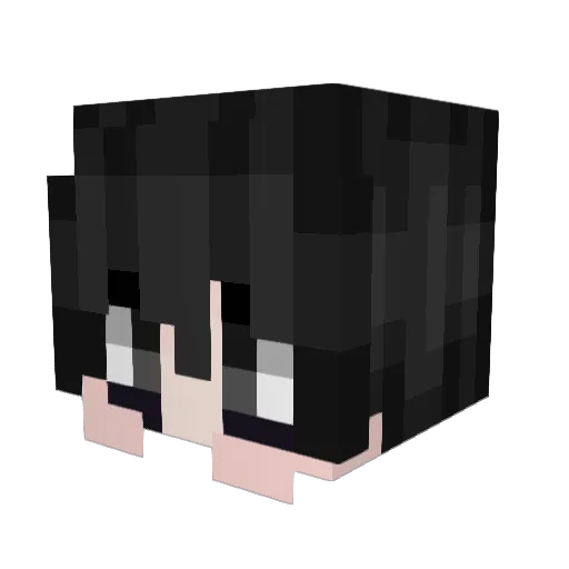 stoopidoodoo Minecraft avatar head, 3D render